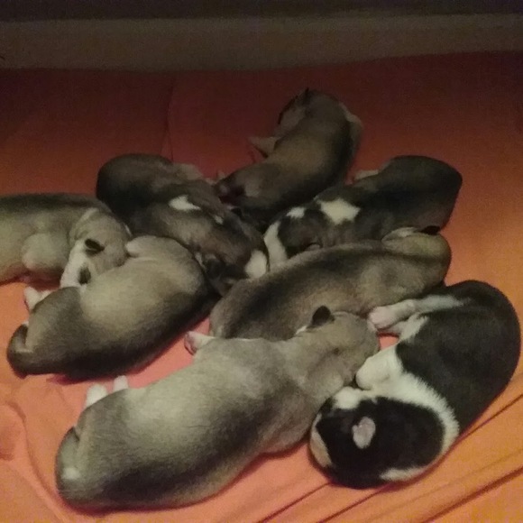 Profile Picture of Savana Varnon (@savana_varnon) on Poshmark