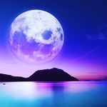 Profile Picture of devon Baxter (@dvnbxtr) on Instagram