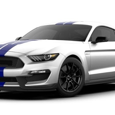 Profile Picture of Peter_Chaves (@PeterChaves8) on Twitter