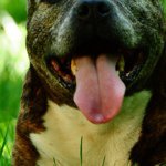 Profile Picture of Alexandru Radulescu (@radulescua) on Instagram