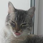 Profile Picture of davidsmolentsev (@davidsmolentsev) on Instagram