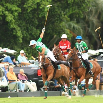 Profile Picture of Gavin St. John-Heath (@Berkshire_polo) on Twitter