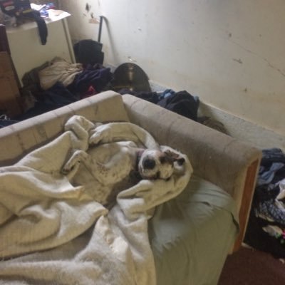 Profile Picture of Anthony Holcomb (@Anthony88157477) on Twitter