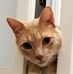 Profile Picture of Pamela Hintz (@pamela.hintz.58) on Facebook