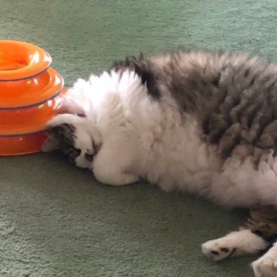 Profile Picture of Barbara Criswell (@kybapc) on Twitter