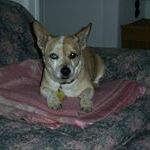 Profile Picture of Jeannine Tobey (@jeanninetobey) on Pinterest