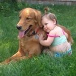 Profile Picture of Glenn Westfall (@oodwoo1) on Instagram