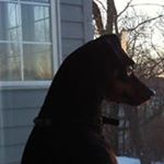 Profile Picture of Scott Marinaro (@scottmarinaro) on Instagram