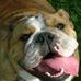 Profile Picture of Chris Kallmeyer (@chris.kallmeyer.5) on Facebook