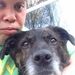 Profile Picture of David Sleath (@sumo49) on Pinterest