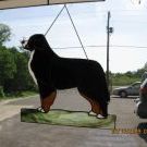 RoseAnne Gibson - Pinterest Profile Picture of RoseAnne Gibson (@gbsn8) on Pinterest