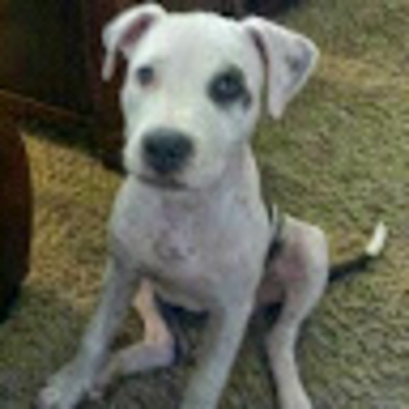 Profile Picture of Genyi Ronayne (@ellisbell) on Poshmark