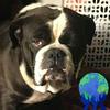 Profile Picture of Gregory Simmers (@@gregorysimmers) on Tiktok