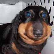 Profile Picture of Crossnine (@crossnine3748) on Youtube