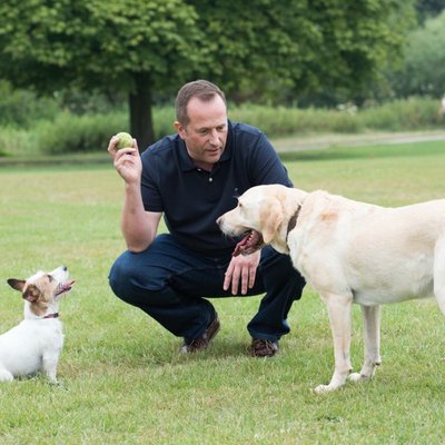 Profile Picture of Stuart Powell (@TheChefBaker) on Twitter