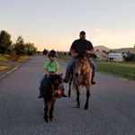 Profile Picture of Ken Inman (@horseman041) on Instagram