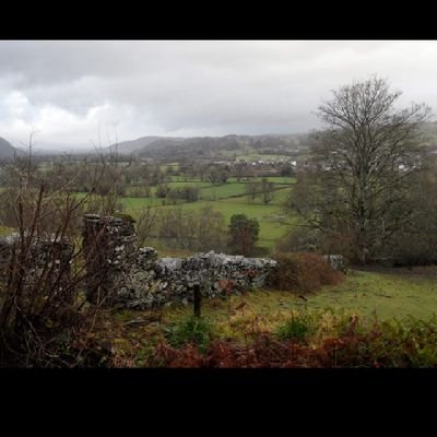 Profile Picture of CJ Blevins (@Febee15) on Twitter