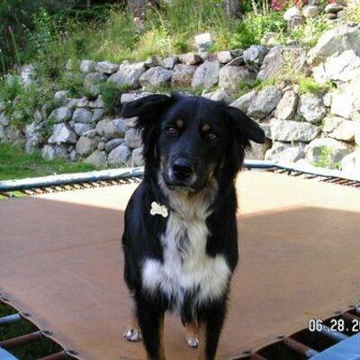 Profile Picture of Troy Stuart (@Brutus747) on Twitter