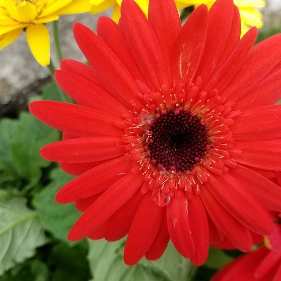 Profile Picture of Casandra Weinschenk (@casandra716) on Poshmark