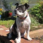 Amanda O'Loughlin - Instagram Profile Picture of Amanda O'Loughlin (@amdolock) on Instagram