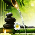 Brian Fannon - Instagram Profile Picture of Brian Fannon (@fanman7070) on Instagram