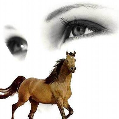 Profile Picture of Mina Awad (@minaawad77) on Twitter