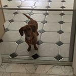 Profile Picture of Robert Bartoli (@robert_bartoli) on Instagram