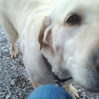 Profile Picture of Teresa Maggard Foiles (@teresa.foiles) on Facebook