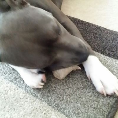 Profile Picture of Henry Kwiatkowski (@HenryKwiatkow12) on Twitter