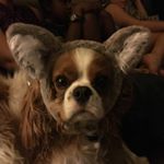 Profile Picture of Gordon Sund (@gordonsund) on Instagram