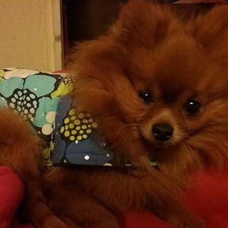 Profile Picture of Jennifer Pool (@jennifer.pool.7771) on Facebook