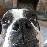 Profile Picture of Leda Bailey (@caticorn420) on Instagram