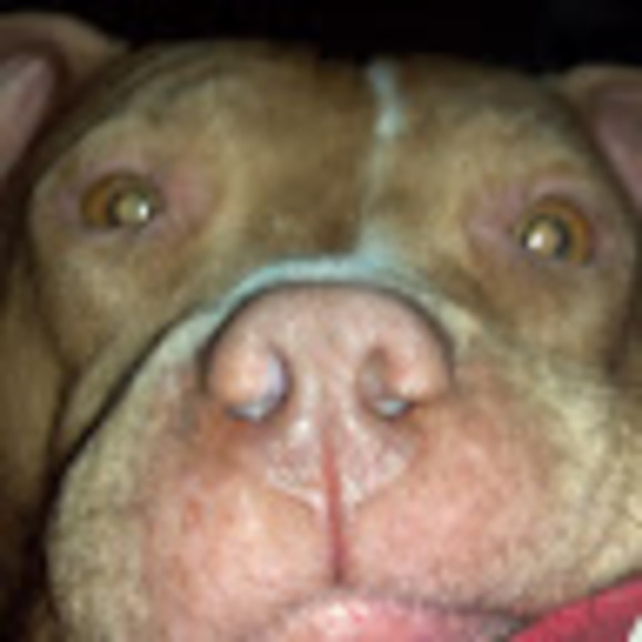 Profile Picture of Corey Melancon (@cjm1588) on Poshmark