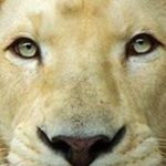 Profile Picture of Paullion (@paullion58) on Instagram