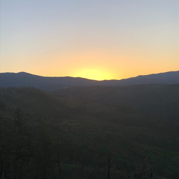 Profile Picture of Wolfram Schmidt (@wolframschmidt) on Poshmark