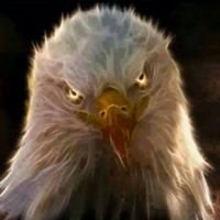 Jason Bonnema - Twitter Profile Picture of Jason Bonnema (@bonz1964) on Twitter