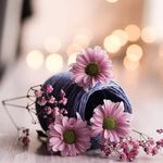 Profile Picture of Abir Sankari Mohamad (@abir_s_87) on Instagram