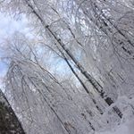 Profile Picture of Alexandre Laframboise (@alex.laf.pitre) on Instagram