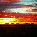 Profile Picture of Alvin Friesen (@art_speaks_volume) on Instagram