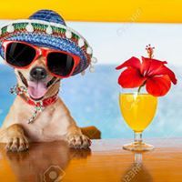 Profile Picture of Lorie Pritzlaff (@loriepritzlaff) on Pinterest