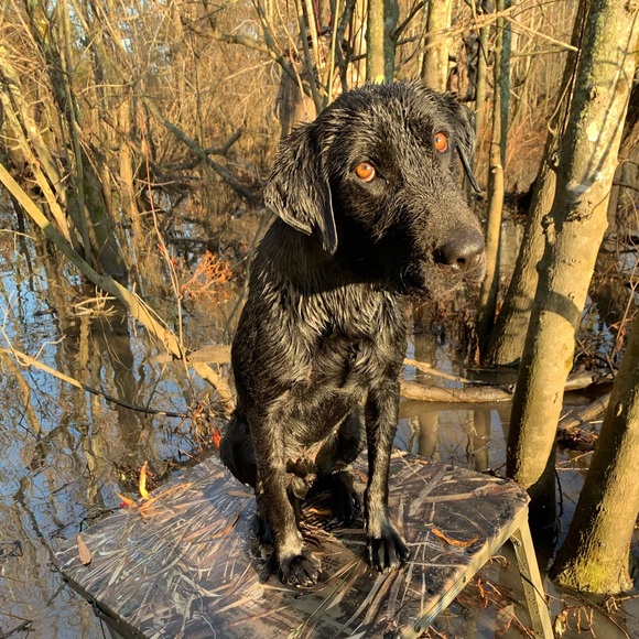 Profile Picture of Bryant Howard (@bryant_howard) on Poshmark