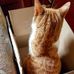 Profile Picture of Stephen Maddock (@stephen.maddock.92) on Facebook