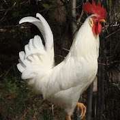 Profile Picture of Aaron Lerma (@AaronSLerma) on Youtube