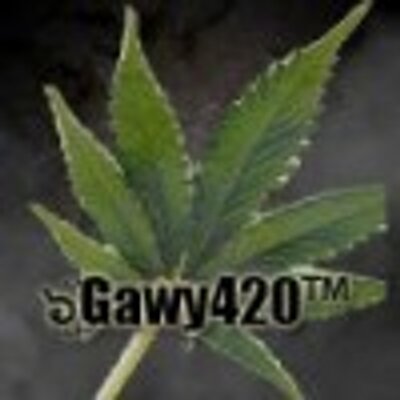 Profile Picture of Gary Dowling (@Gawy420) on Twitter