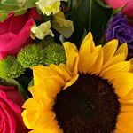 Profile Picture of Lori Mallett (@lori_mallett) on Instagram