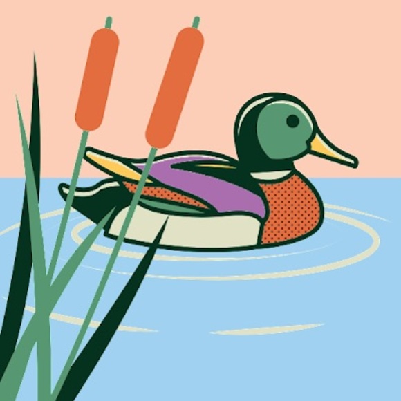 Profile Picture of Yusuf K (@ykilic240209) on Poshmark