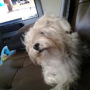 Profile Picture of Bryanna Ramirez (@bryannaramirez1917) on Youtube