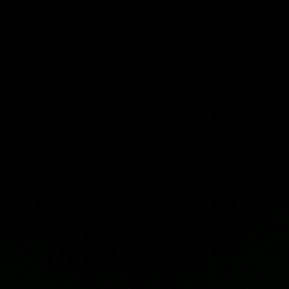 Profile Picture of Saige Busiere (@saigebusiere) on Poshmark