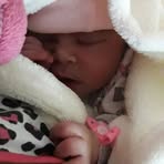 Profile Picture of Andrew Russ Pauzner (@andrewpauzner06) on Facebook