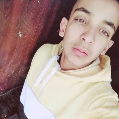 Profile Picture of Mohamed Aline Belfki (@AlineBelfki) on Twitter